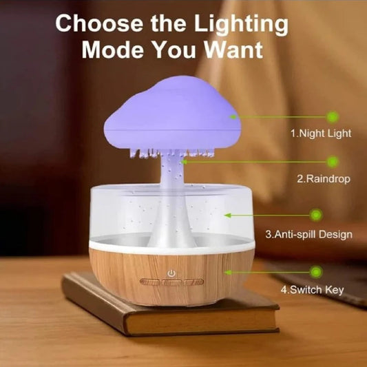 Rain Cloud Humidifier