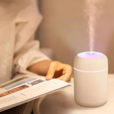 H2O Cool Mist Humidifier