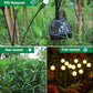 Solar Starburst Garden Lights (Set of 2, 8 bulbs each)